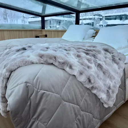 Lapland Luxury Igloos D