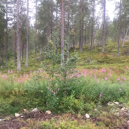Lapland Luxury Igloos D Appartement *