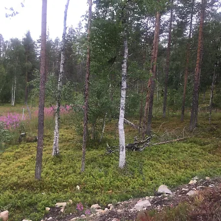 Lapland Luxury Igloos D *
